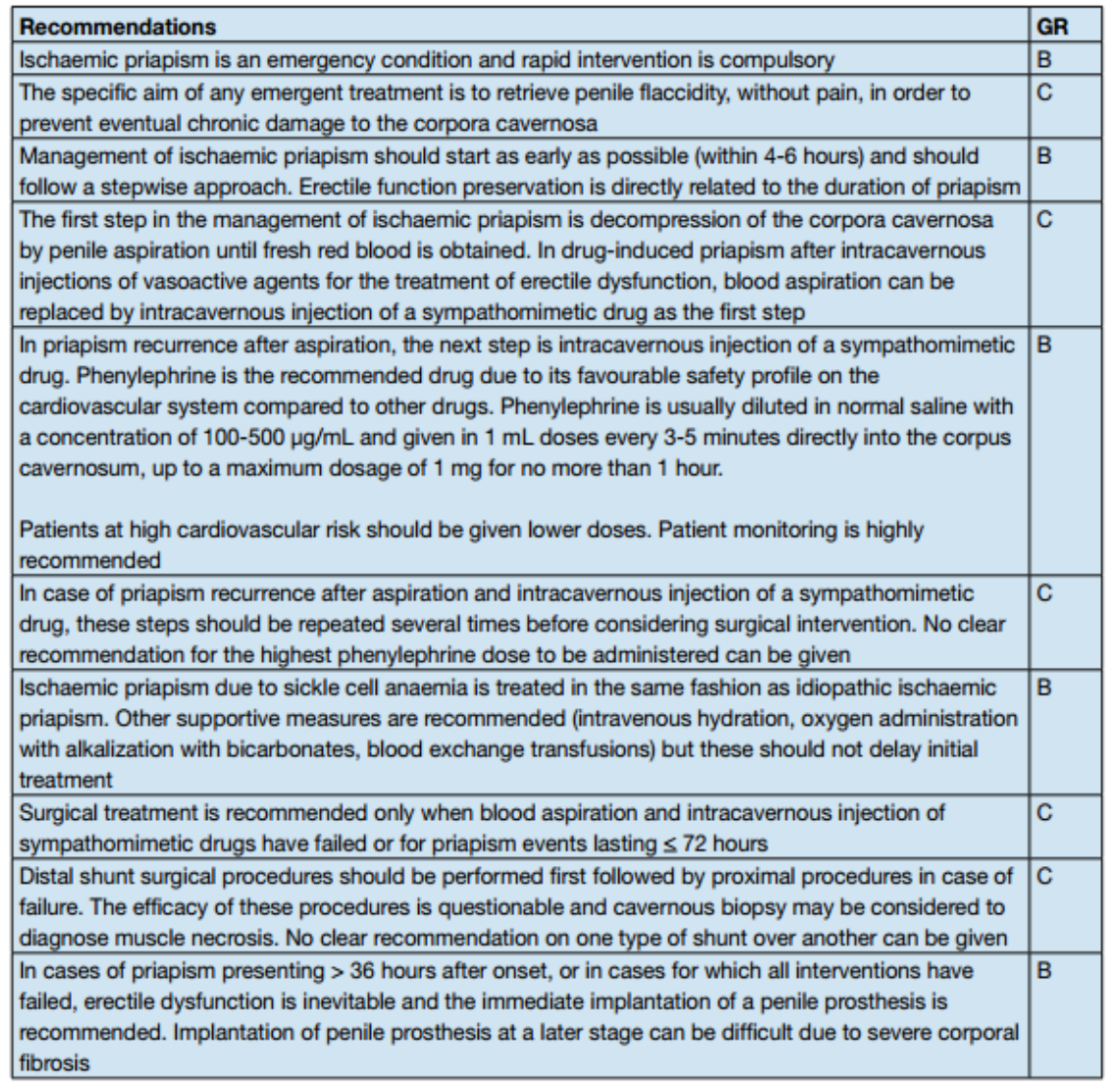 Priapism: The ED-Focused Approach — NUEM Blog